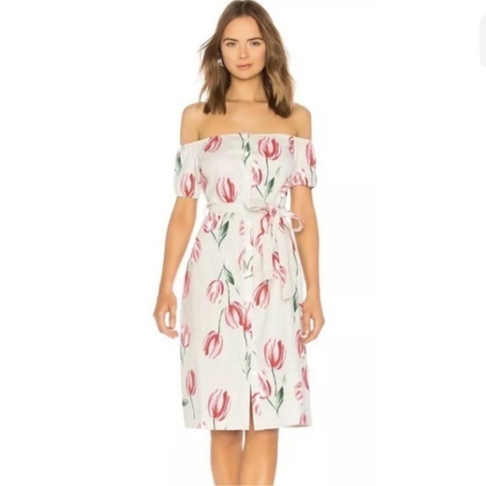 NWT L’Academie midi dress in mint tulip print size L cotton